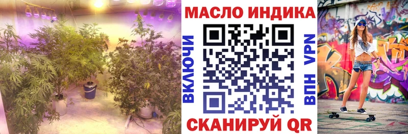 где купить   Богородск  ТГК гашишное масло 